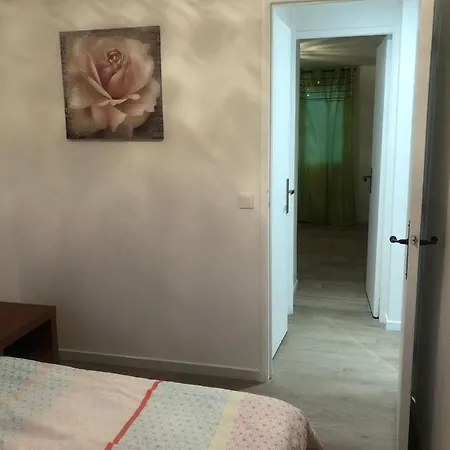 Appartement Chez Viorika 3 Lits Parking *