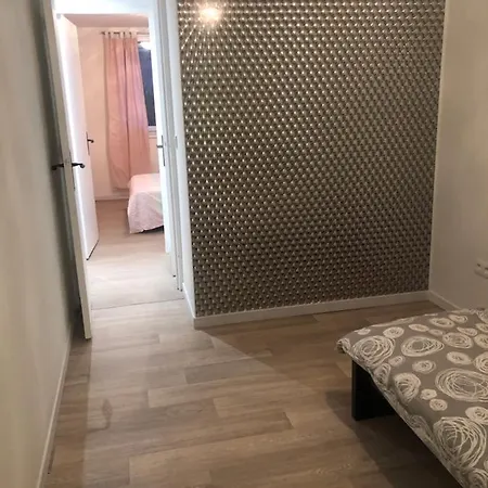 Appartement Chez Viorika 3 Lits Parking *